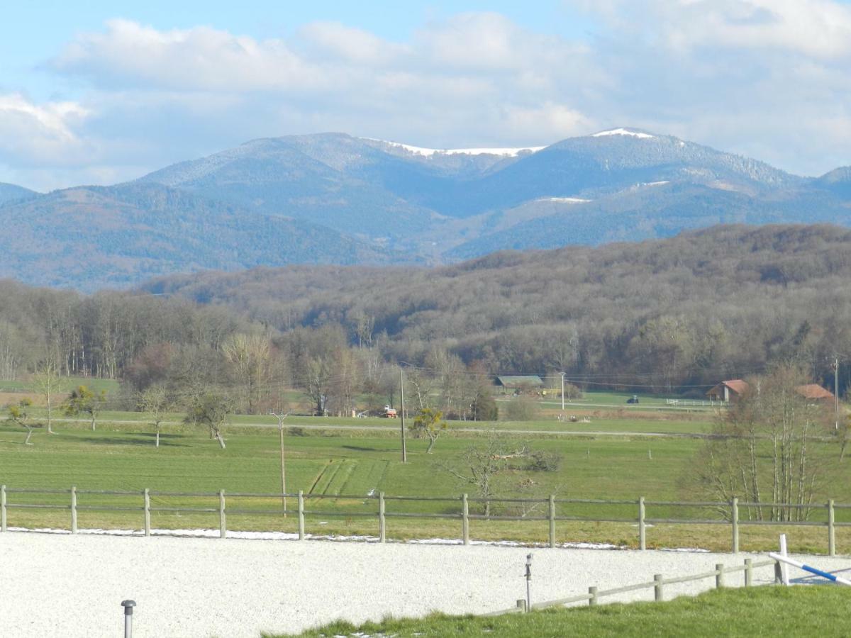 Oscar'S Home Soppe-le-Bas Екстериор снимка